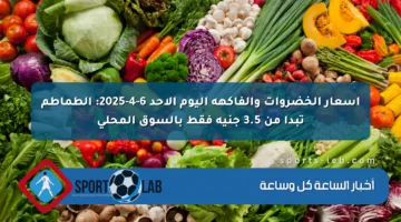 أسعار الخضروات والفاكهة اليوم الأحد 6-4-2025: الطماطم تبدأ من 3.5 جنيه فقط بالسوق المحلي